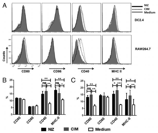 CD40 Antibody in Flow Cytometry (Flow)