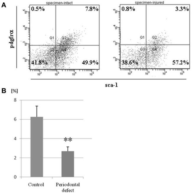 Ly-6A/E (Sca-1) Antibody in Flow Cytometry (Flow)