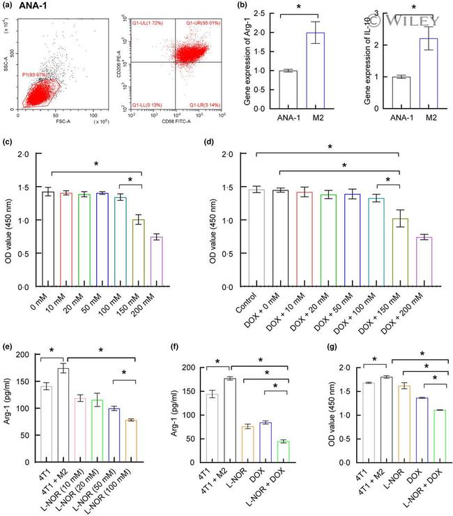 CD68 Antibody in Flow Cytometry (Flow)