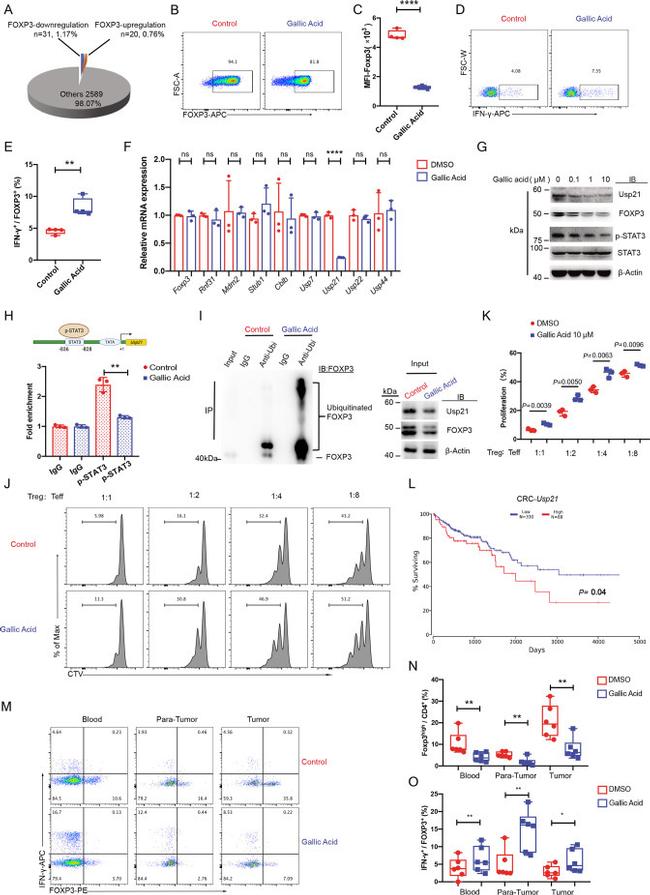 IFN gamma Antibody in Flow Cytometry (Flow)