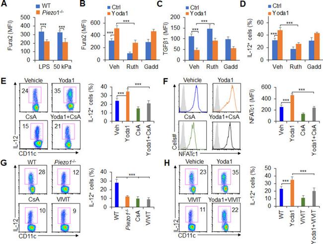 LAP (Latency Associated peptide) Antibody in Flow Cytometry (Flow)