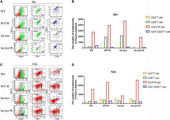 CD4 Antibody in Flow Cytometry (Flow)