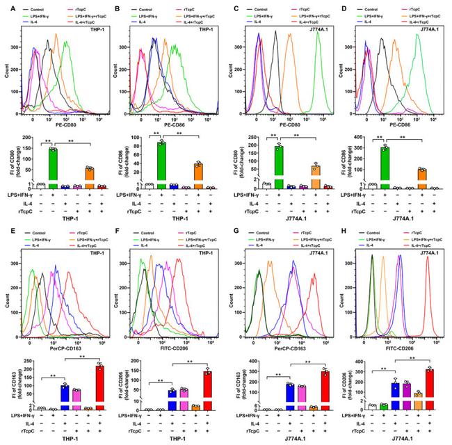 CD163 Antibody in Flow Cytometry (Flow)