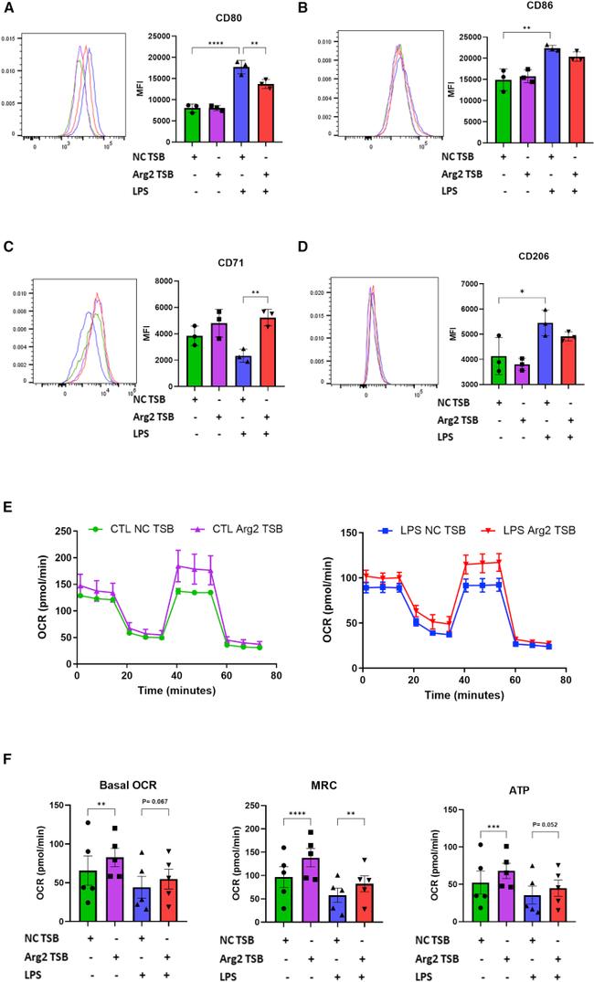 CD86 (B7-2) Antibody in Flow Cytometry (Flow)