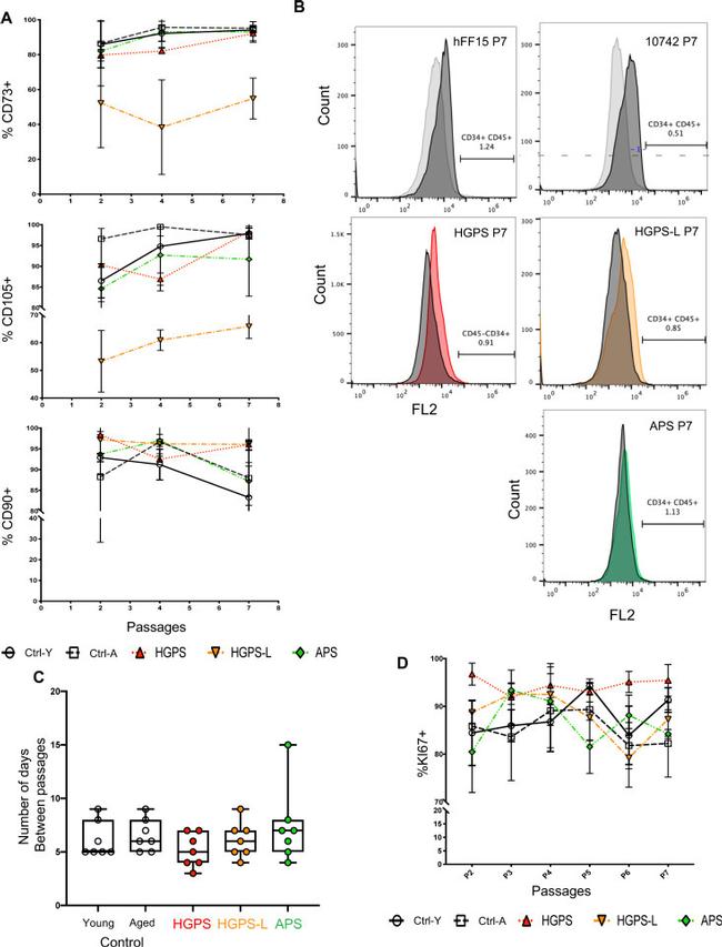 CD105 (Endoglin) Antibody in Flow Cytometry (Flow)