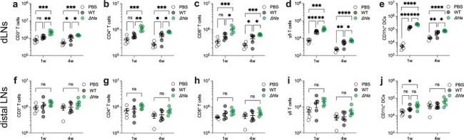 CD3e Antibody in Flow Cytometry (Flow)