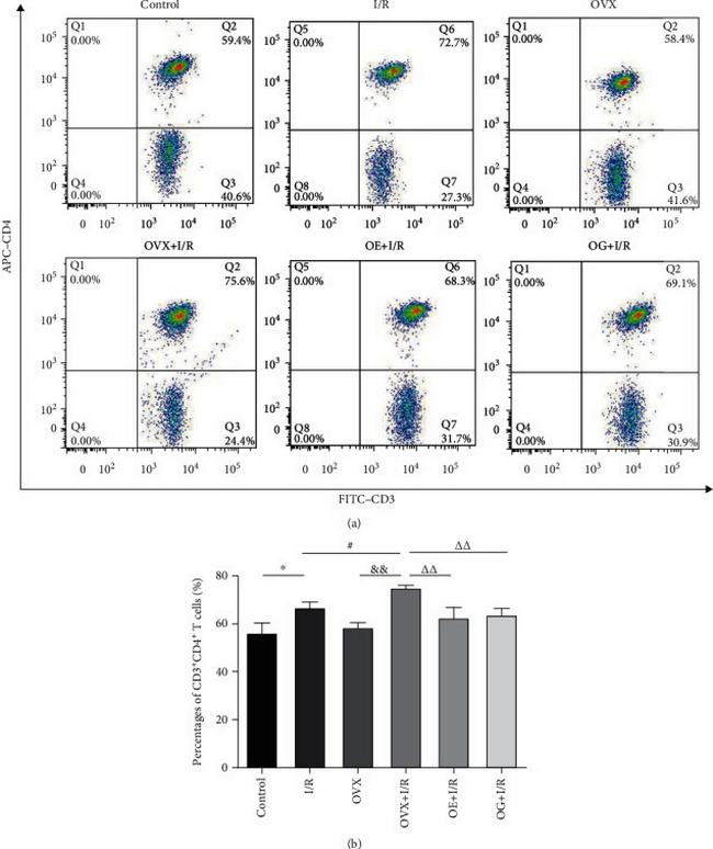 CD4 Antibody in Flow Cytometry (Flow)