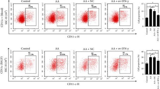 CD11c Antibody in Flow Cytometry (Flow)