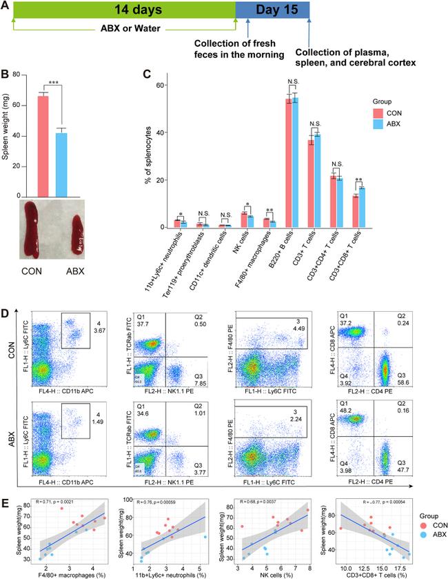 CD4 Antibody in Flow Cytometry (Flow)