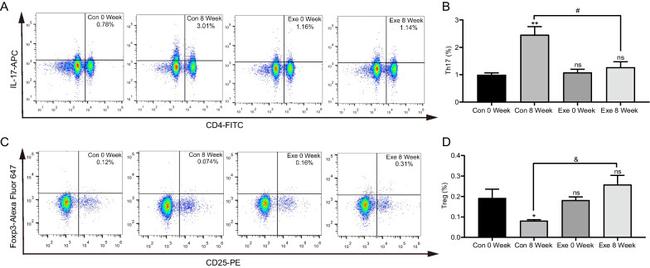 CD4 Antibody in Flow Cytometry (Flow)