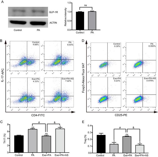 CD4 Antibody in Flow Cytometry (Flow)