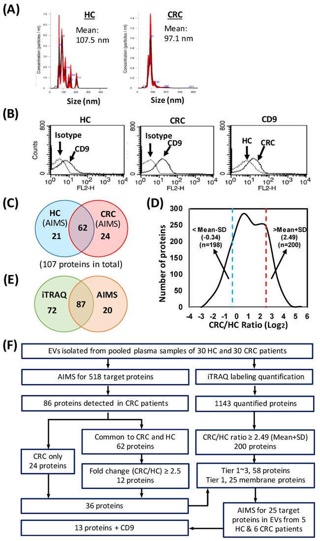 CD9 Antibody in Flow Cytometry (Flow)