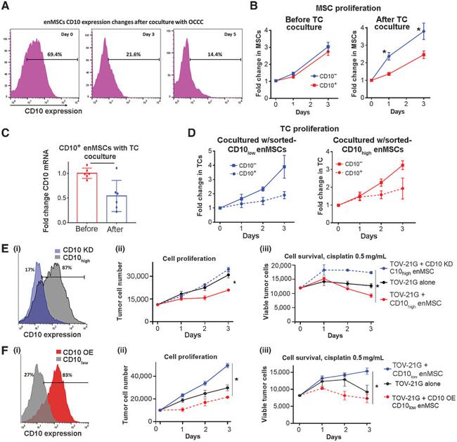 CD10 Antibody in Flow Cytometry (Flow)