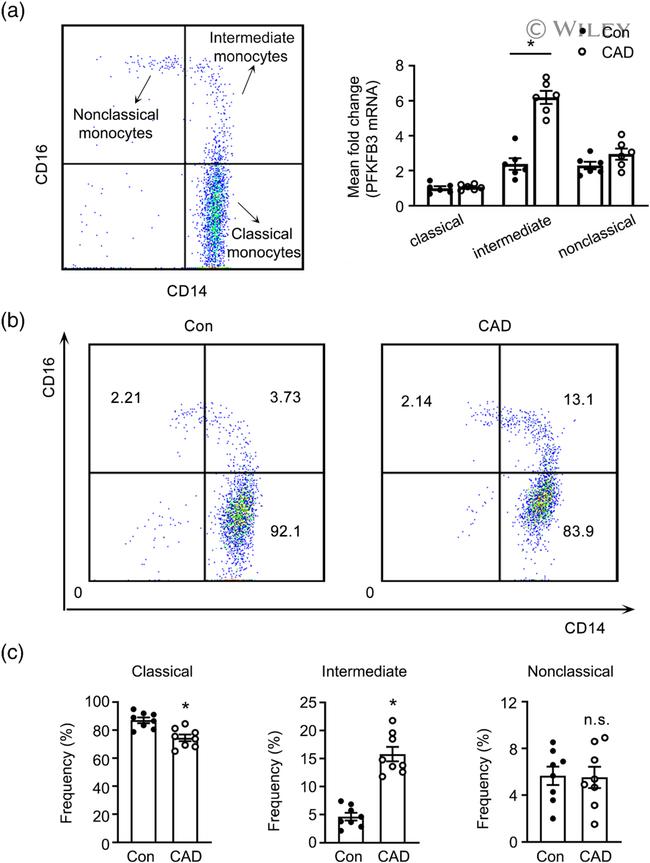 CD16 Antibody in Flow Cytometry (Flow)