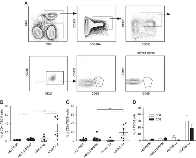 CD28 Antibody in Flow Cytometry (Flow)