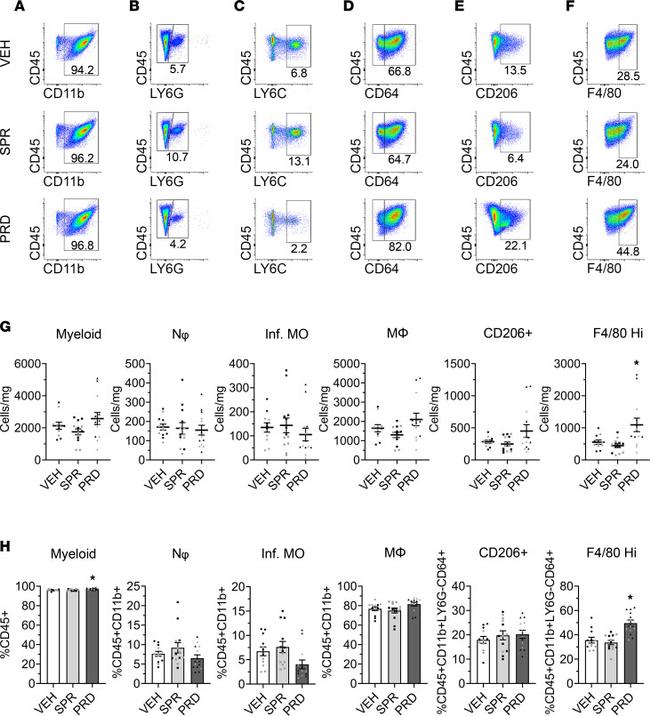 CD206 (MMR) Antibody in Flow Cytometry (Flow)