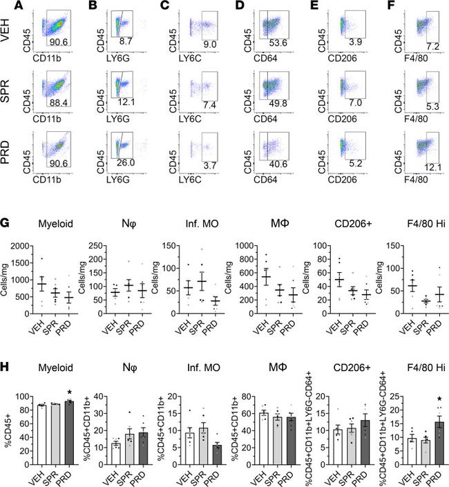 CD206 (MMR) Antibody in Flow Cytometry (Flow)