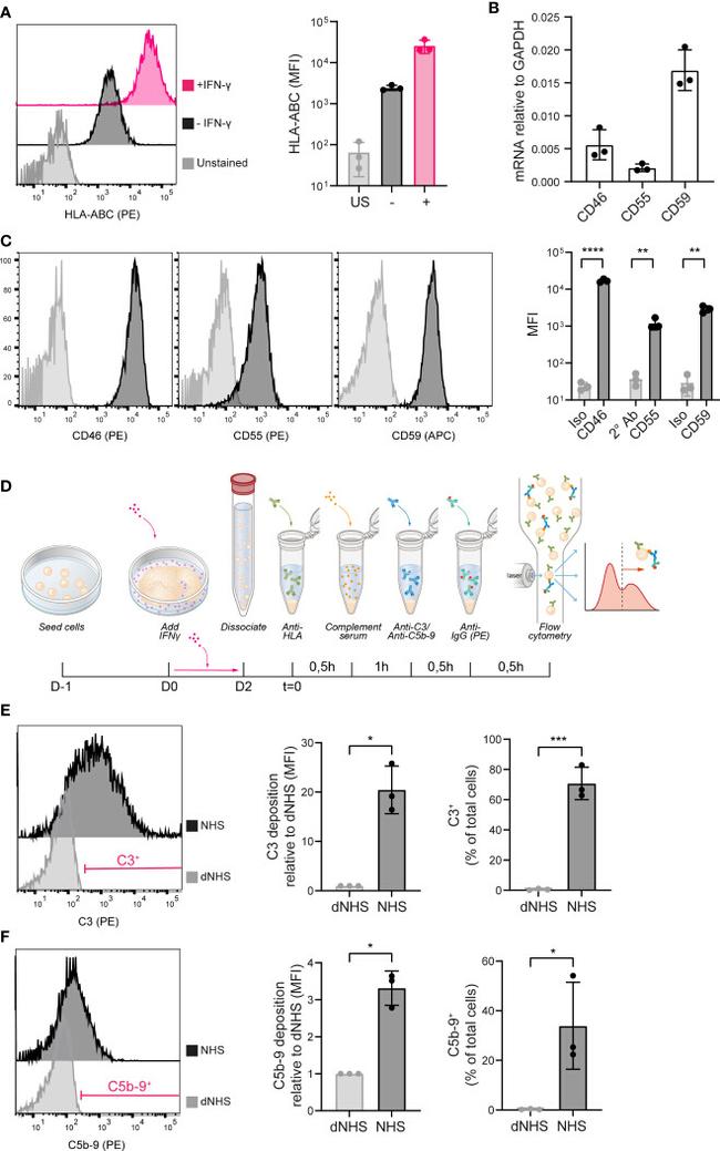 CD46 Antibody in Flow Cytometry (Flow)