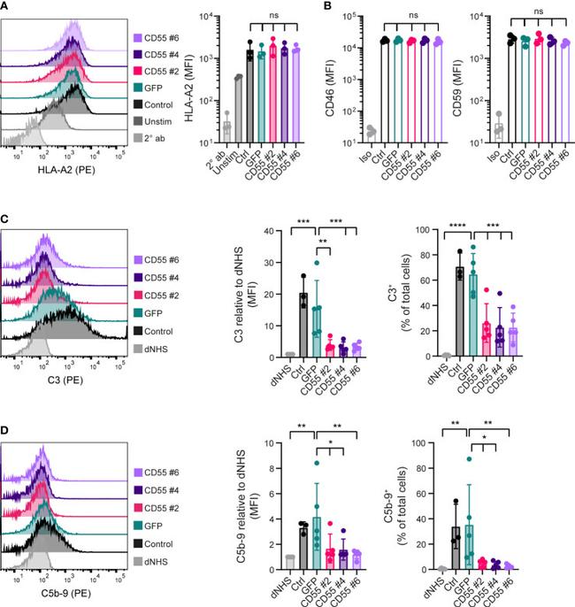 CD46 Antibody in Flow Cytometry (Flow)