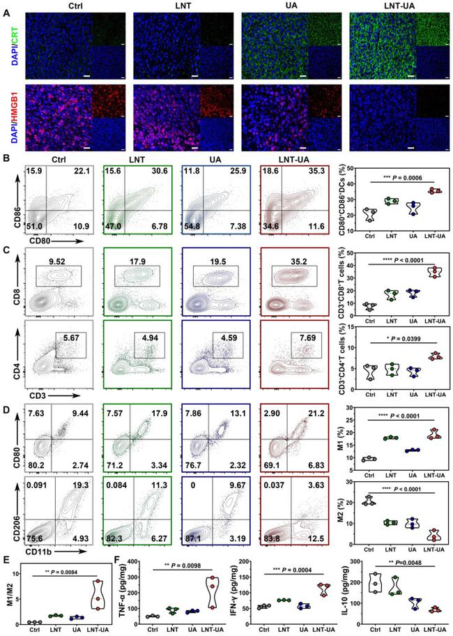 CD86 (B7-2) Antibody in Flow Cytometry (Flow)