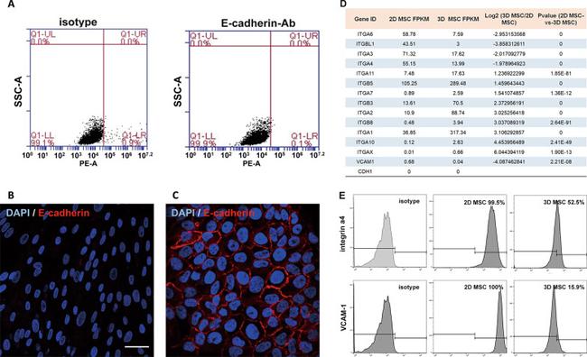 CD49d (Integrin alpha 4) Antibody in Flow Cytometry (Flow)