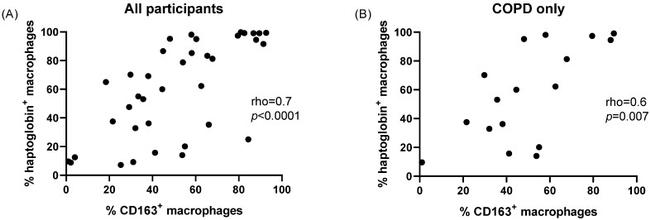 CD163 Antibody in Flow Cytometry (Flow)