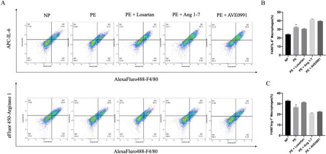 Arginase 1 Antibody in Flow Cytometry (Flow)