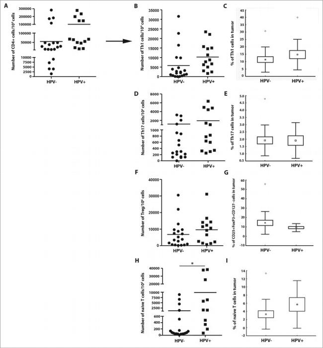 CD4 Antibody in Flow Cytometry (Flow)