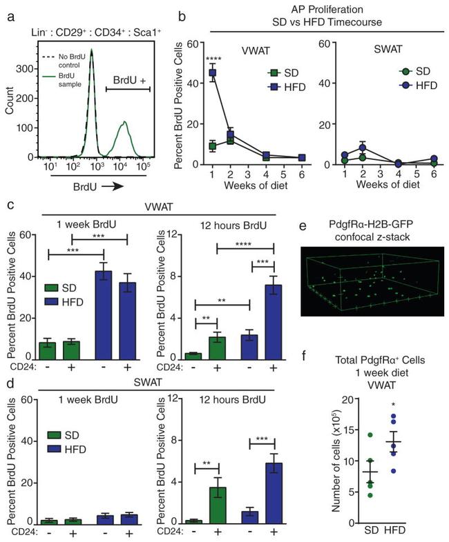 CD24 Antibody in Flow Cytometry (Flow)