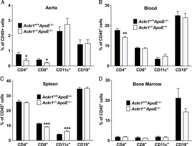 CD11c Antibody in Flow Cytometry (Flow)