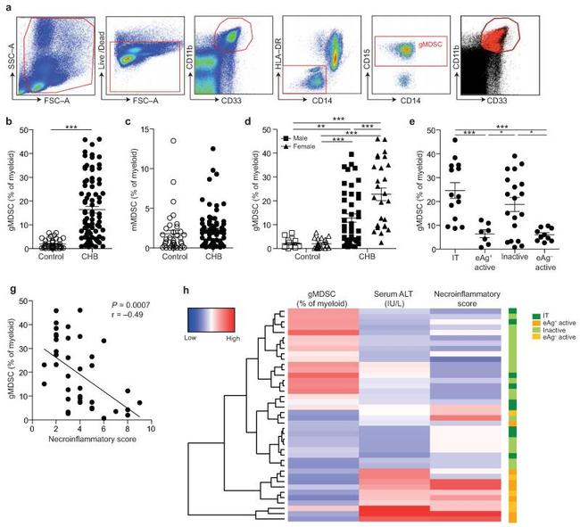 CD11b Antibody in Flow Cytometry (Flow)