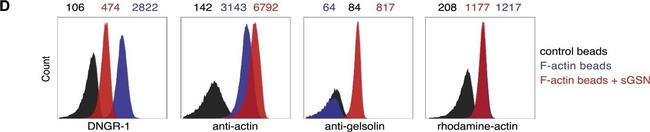 Mouse IgG (H+L) Secondary Antibody in Flow Cytometry (Flow)