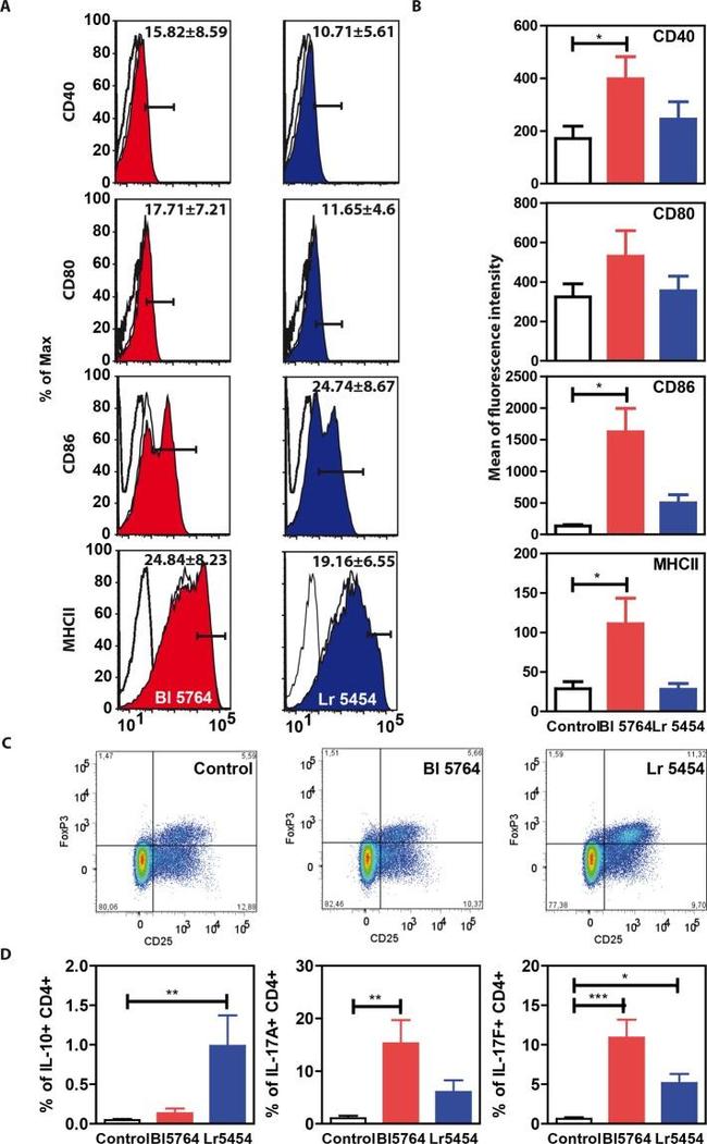 CD86 (B7-2) Antibody in Flow Cytometry (Flow)