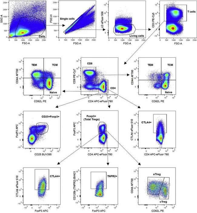 CD152 (CTLA-4) Antibody in Flow Cytometry (Flow)