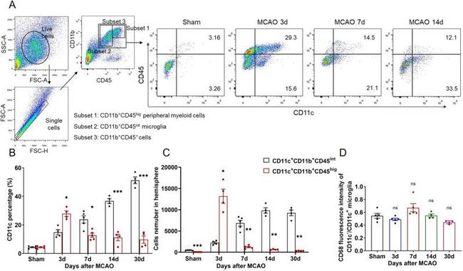 CD11c Antibody in Flow Cytometry (Flow)