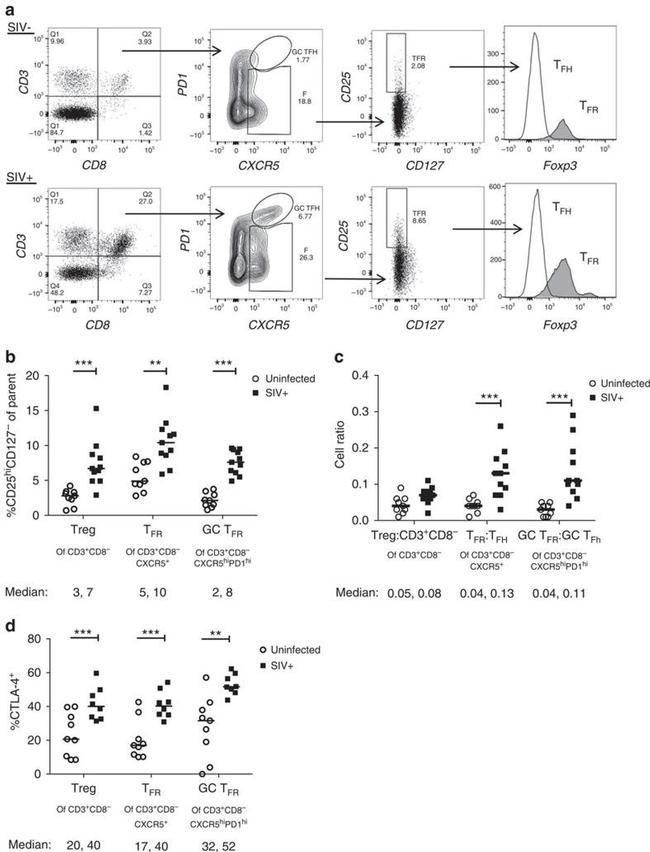 CD152 (CTLA-4) Antibody in Flow Cytometry (Flow)