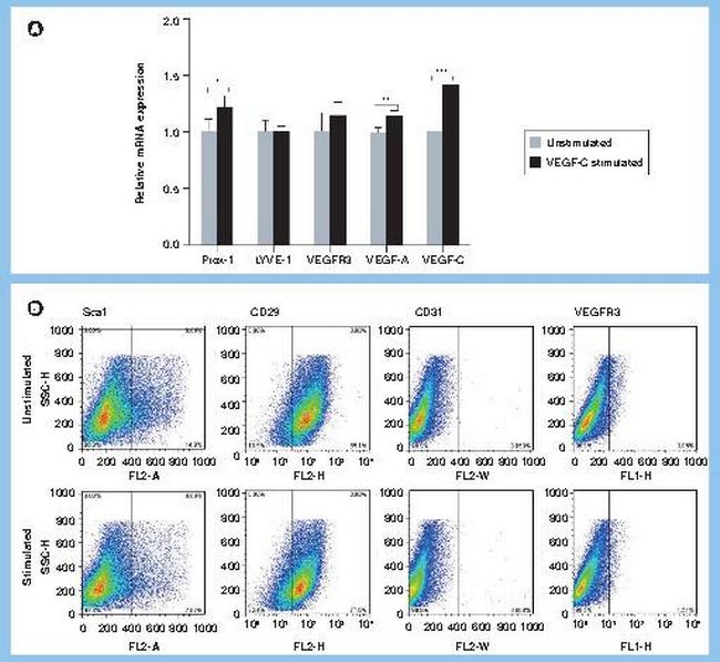 CD29 (Integrin beta 1) Antibody in Flow Cytometry (Flow)