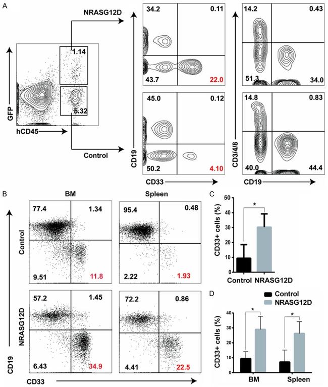 CD33 Antibody in Flow Cytometry (Flow)