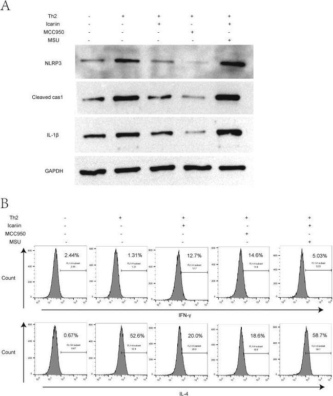 CD4 Antibody in Flow Cytometry (Flow)