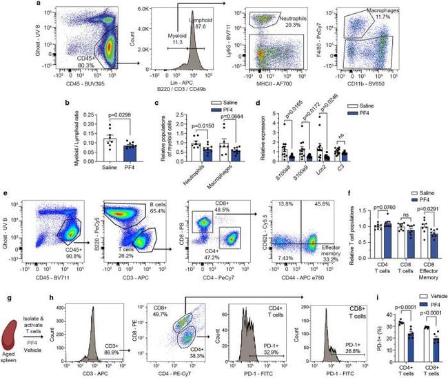 F4/80 Antibody in Flow Cytometry (Flow)