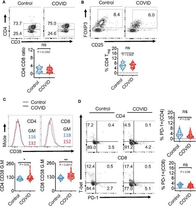 CD4 Antibody in Flow Cytometry (Flow)