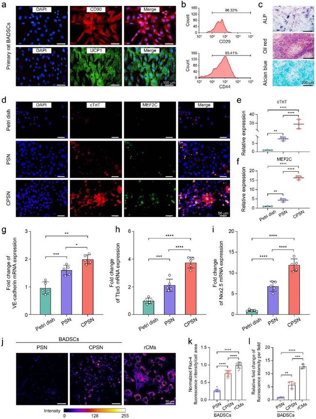 CD29 (Integrin beta 1) Antibody in Flow Cytometry (Flow)