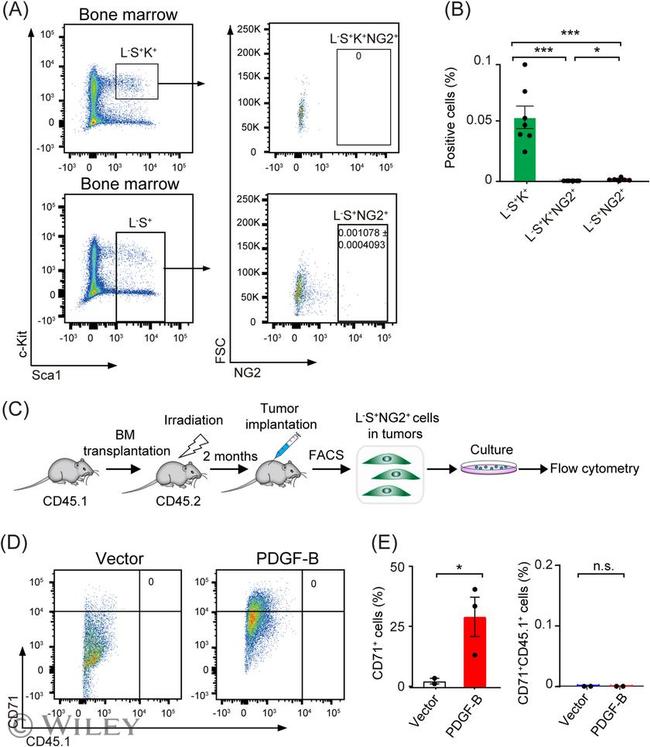 CD71 (Transferrin Receptor) Antibody in Flow Cytometry (Flow)