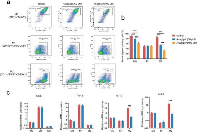 CD206 (MMR) Antibody in Flow Cytometry (Flow)