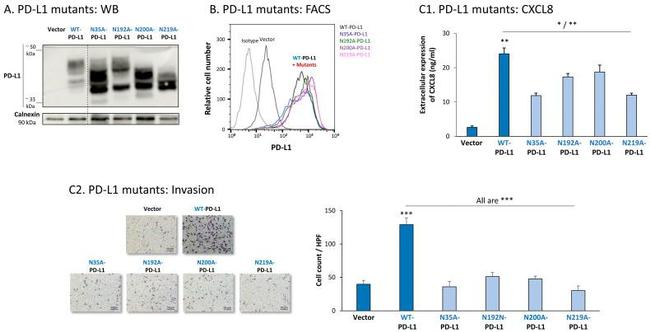 CD274 (PD-L1, B7-H1) Antibody in Flow Cytometry (Flow)