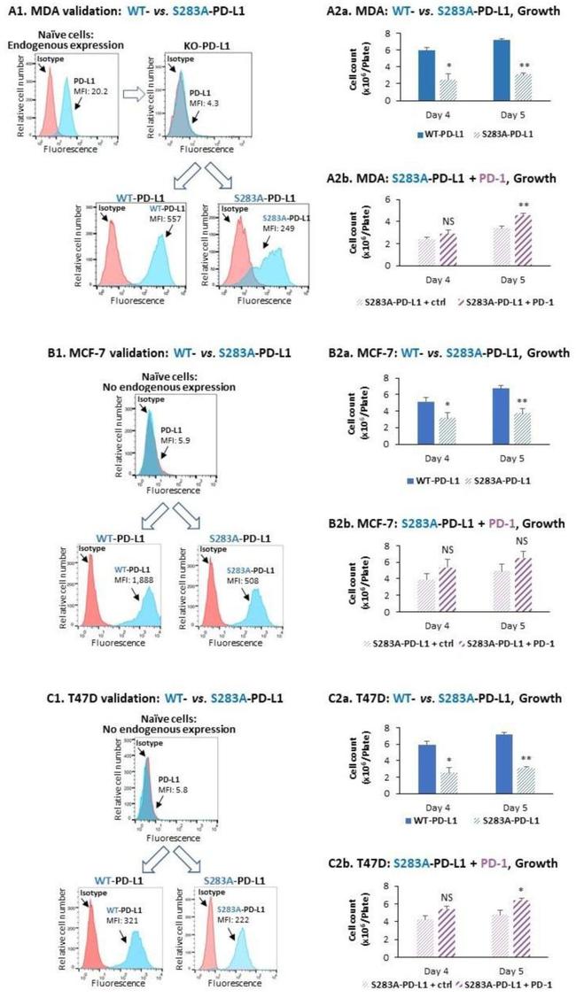 CD274 (PD-L1, B7-H1) Antibody in Flow Cytometry (Flow)