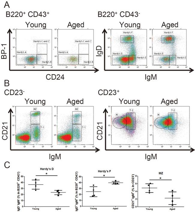 CD24 Antibody in Flow Cytometry (Flow)