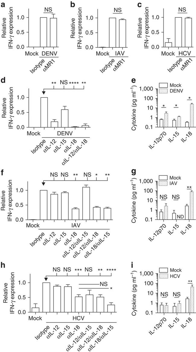 CD3 Antibody in Flow Cytometry (Flow)