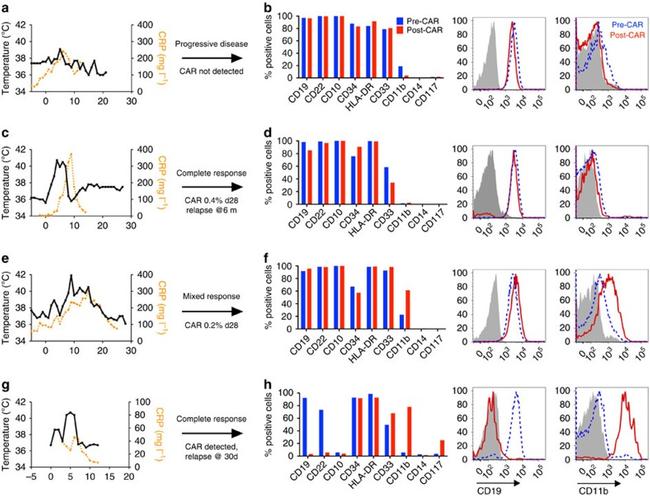 CD11b Antibody in Flow Cytometry (Flow)