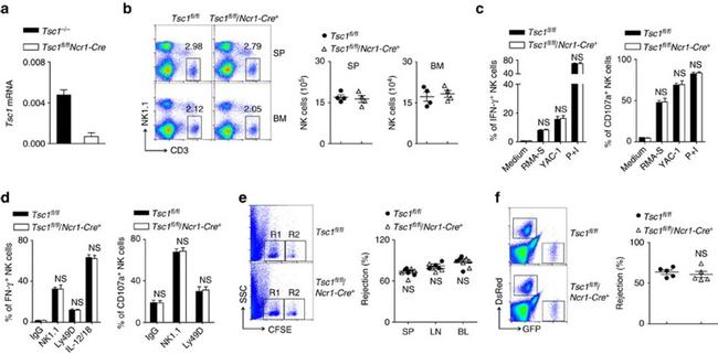 NK1.1 Antibody in Flow Cytometry (Flow)